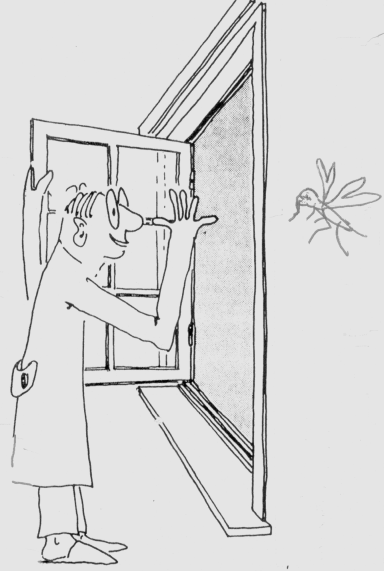 Insektenschutz Naturbett Gerlach Fliegengitter Insektenschutz Pollenschutz